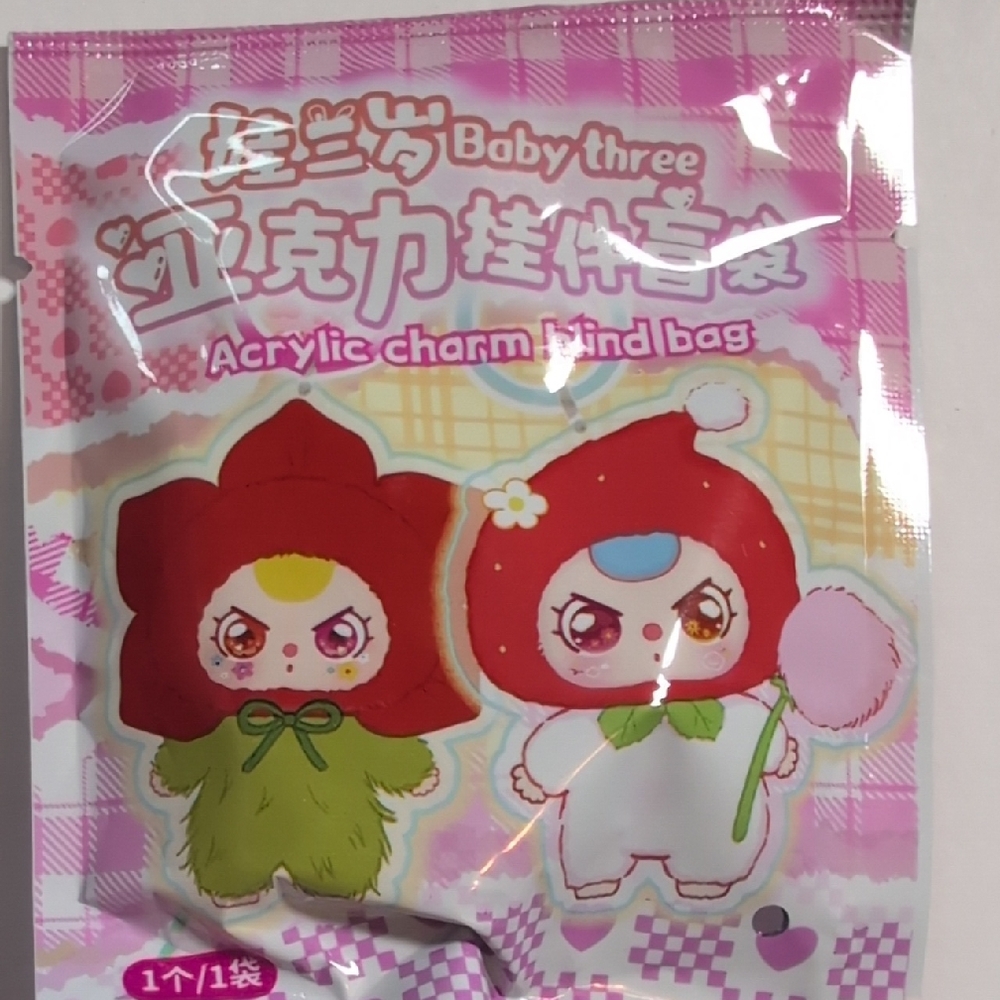 Acrylic Charm Blind Bag
